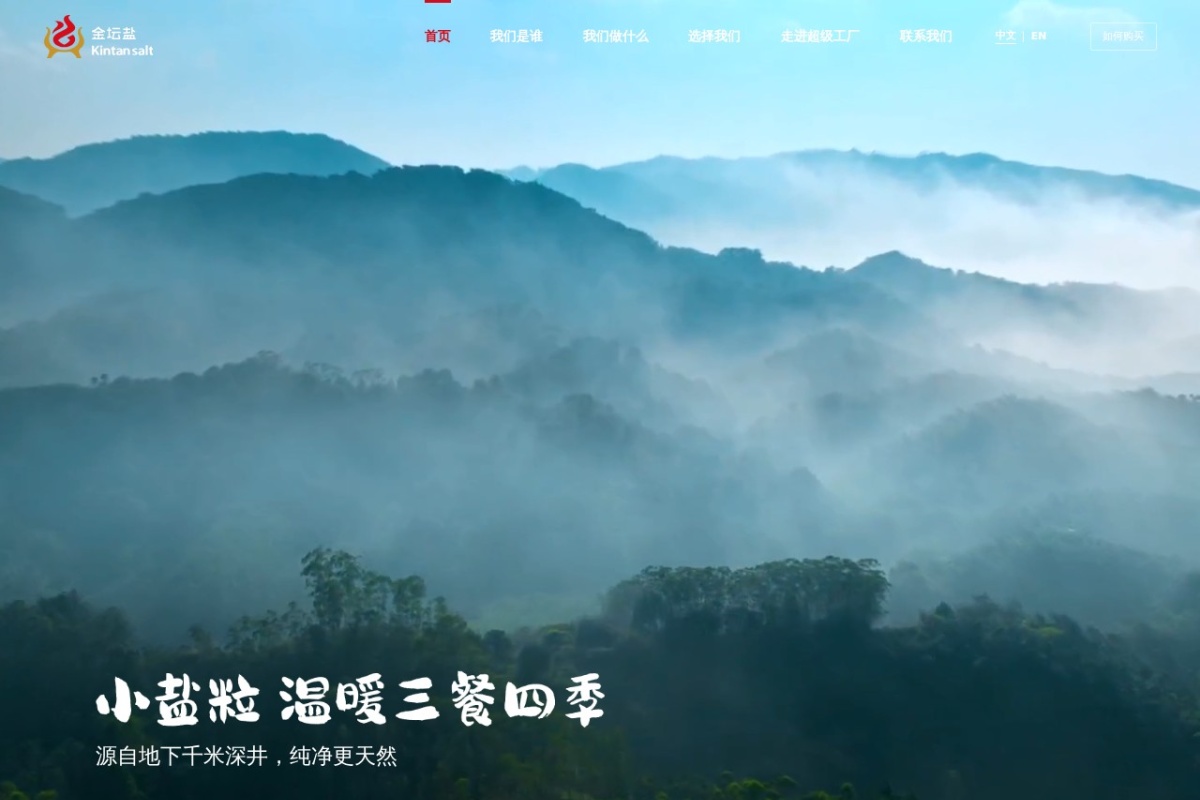 中盐集团